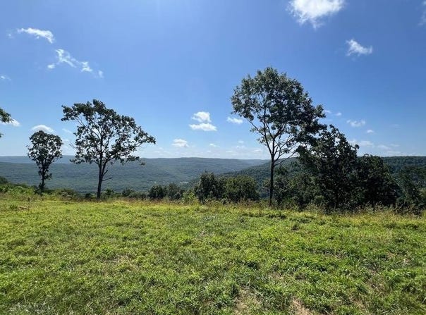 Tract F AR 7 South, Jasper, AR 72641