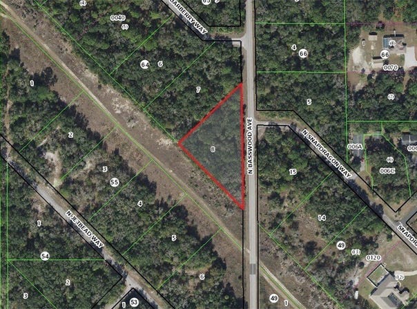 8442 N Basswood Avenue, Crystal River, FL 34428