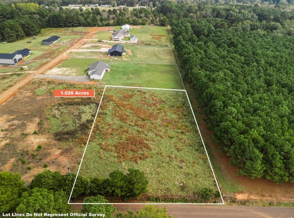 2685 Hawk Rd, Diana, TX 75640
