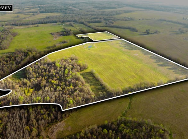 Boydsville Road, Palmersville, TN 38241