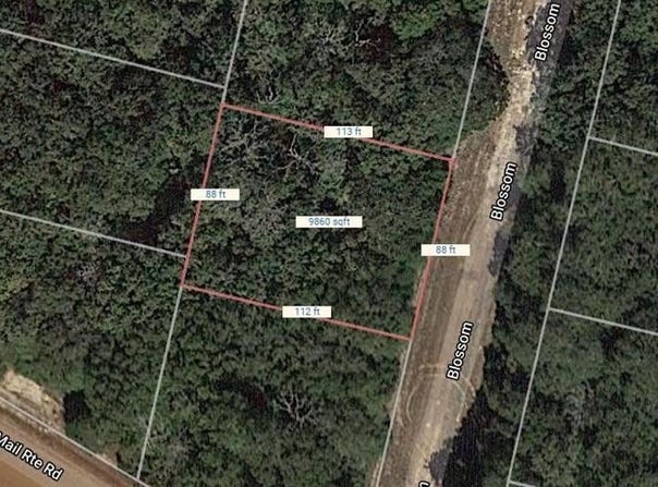 Lot 15 Blossom, Normangee, TX 77871