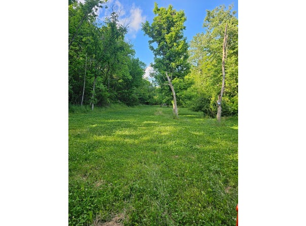 1-a Saltwell Road, Carlisle, KY 40311