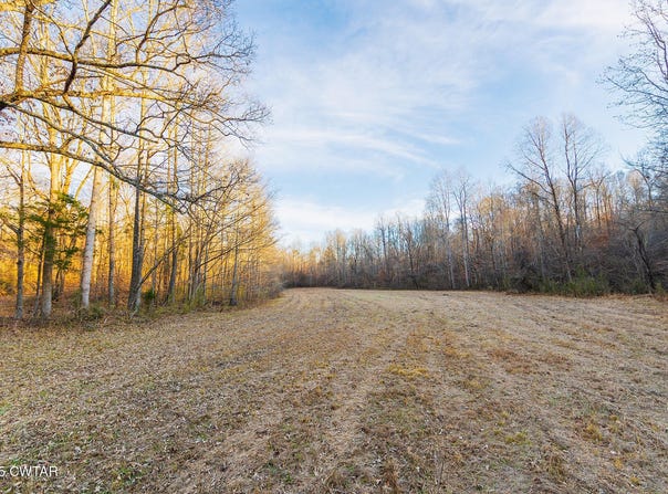 TN-100, Medon, TN 38356