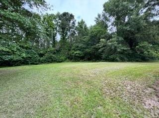 1500 Walkerville Rd, Many, LA 71449