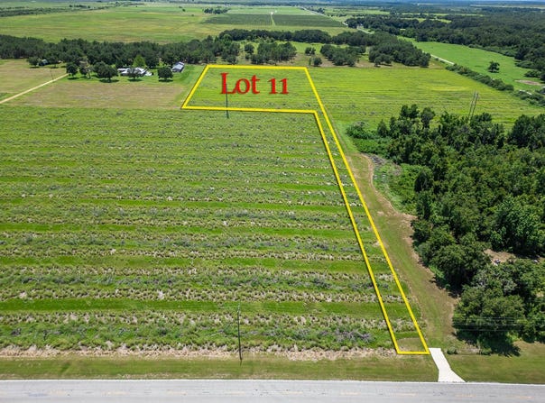 0 Old Bowling Green Rd Lot 11, Fort Meade, FL 33841