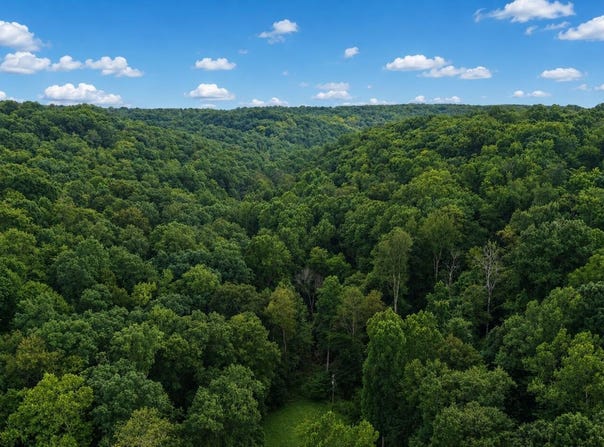 Rocky Fork Road, Rockbridge, OH 43149