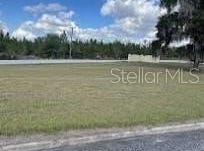 100 SIESTA CIRCLE, WELAKA, FL 32193