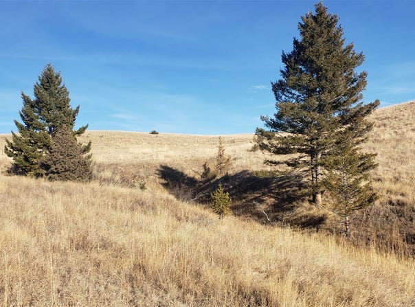 180 Lariat Loop, Garrison, MT 59731