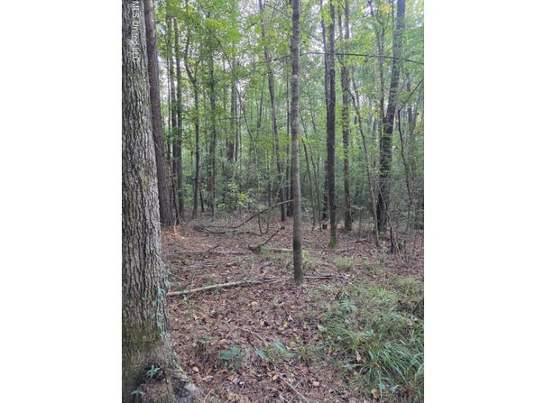 County Rd 155, Stringer, MS 39481
