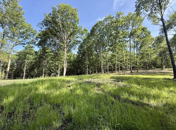 Lott 6 Hobbstown Road, Dunlap, TN 37327