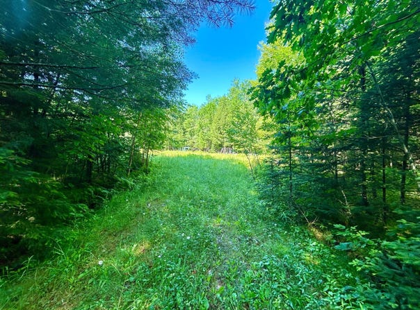 On JOHNSON RD, Crandon, WI 54520