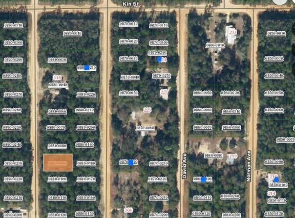 Lot 9 DEL MONACO AVENUE, INTERLACHEN, FL 32148