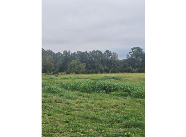 Hwy 704, Burkesville, KY 42717