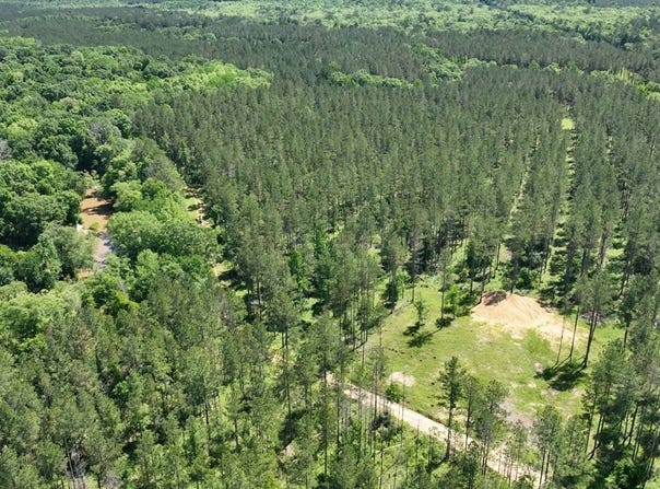 - Three Mile Stretch, Ellisville, MS 39437