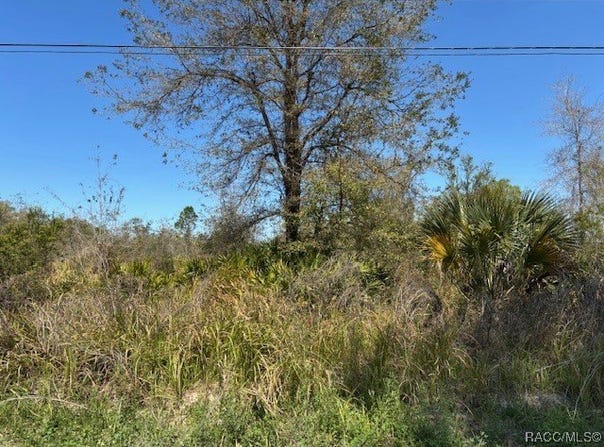 5499 E Stokes Ferry Road, Hernando, FL 34442