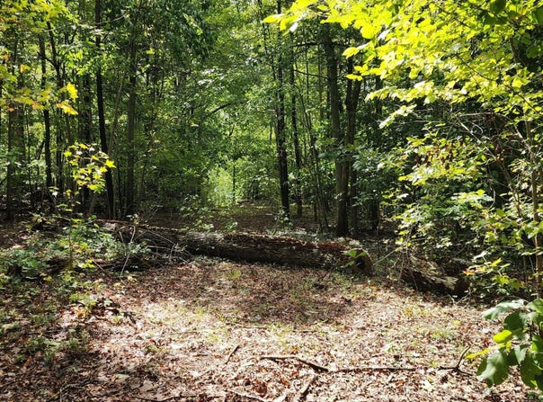 Tbd Mill Creek Road, Cedar Grove, NC 27231