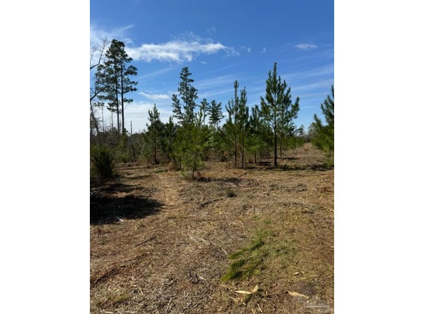 Bright Prospect Rd, Marianna, FL 32448