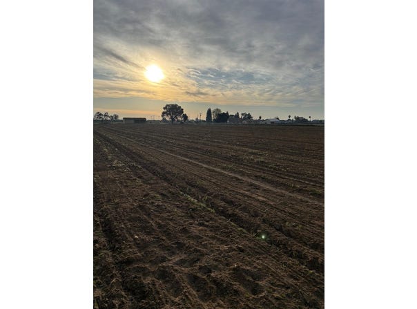 9449 S Mccall Avenue, Selma, CA 93662