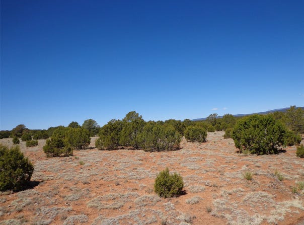 Tract 1A Camino del Sol, NM 87569