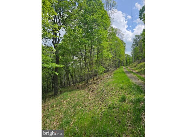 HIGH VIEW ROAD, OLD FIELDS, WV 26845