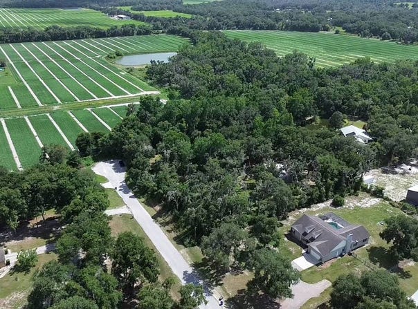 Southwood Oaks St, Lithia, FL 33547