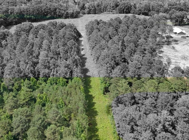 Highway 12 E, Steens, MS 39766