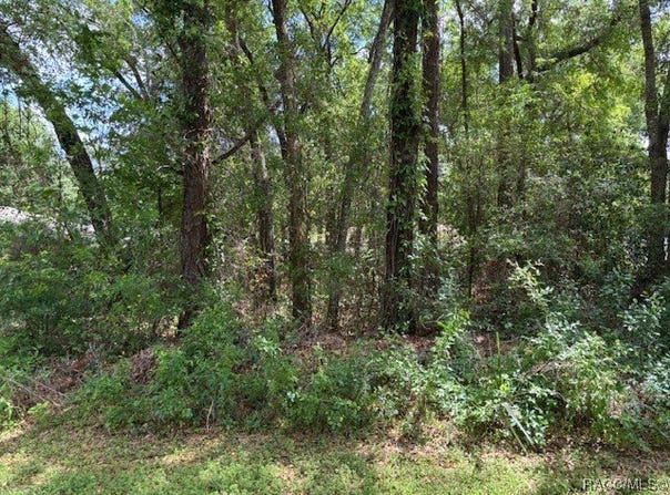 4229 S Canton Terrace, Inverness, FL 34452