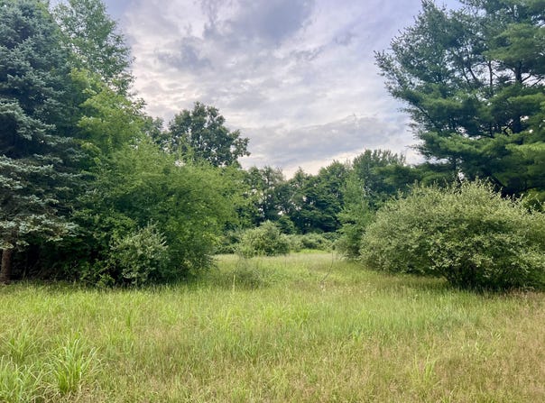 1143 38th Street, Allegan, MI 49010