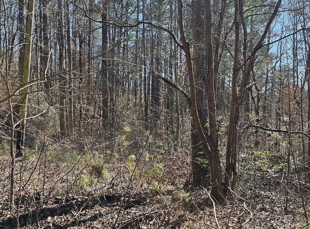 30 & 48 Dogwood, Martin, GA 30557