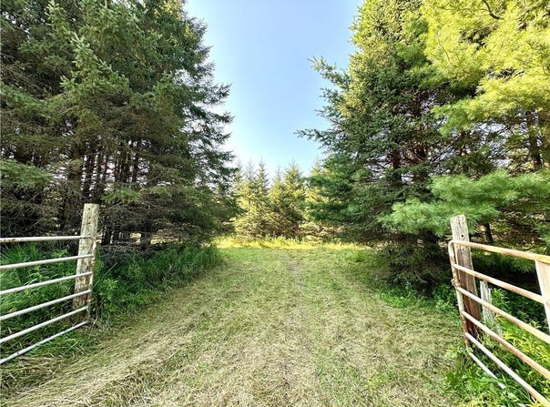 East 20 Acres W Poertner Road, Neillsville, WI 54456
