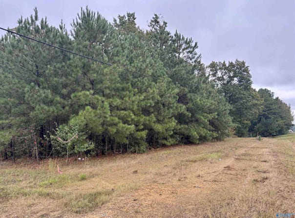 2.27 acre Highway 231, Arab, AL 35016
