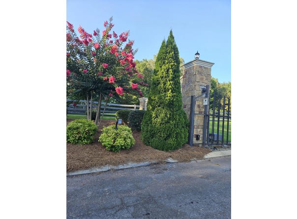 0 Loblolly Lane, Tunnel Hill, GA 30755