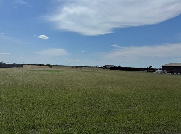 Anaqua, Orange Grove, TX 78003