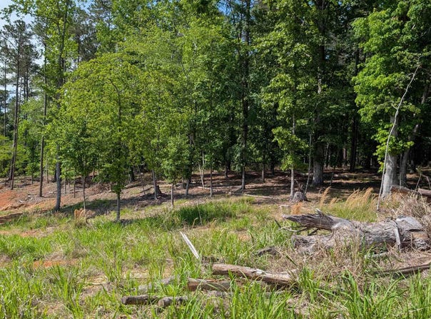TBD Rolling Hills Rd, Ridgeway, SC 29130-0000