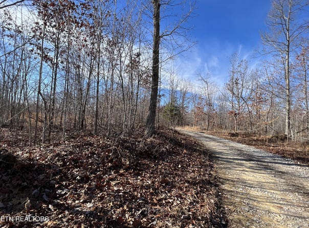 Lot J McCartt Ridge Lane, Sunbright, TN 37872