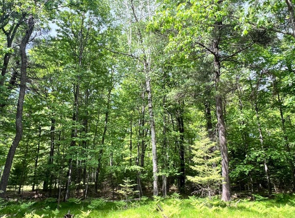 WHITE PINE LOOP lot: 33, Eagle River, WI 54521