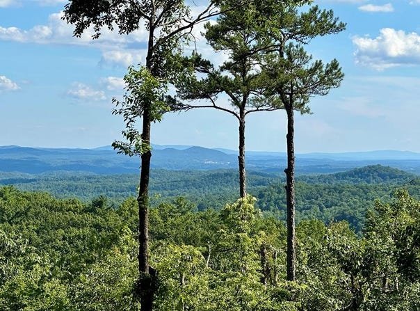 Lot 73 Mountain View Road, Ellijay, GA 30540