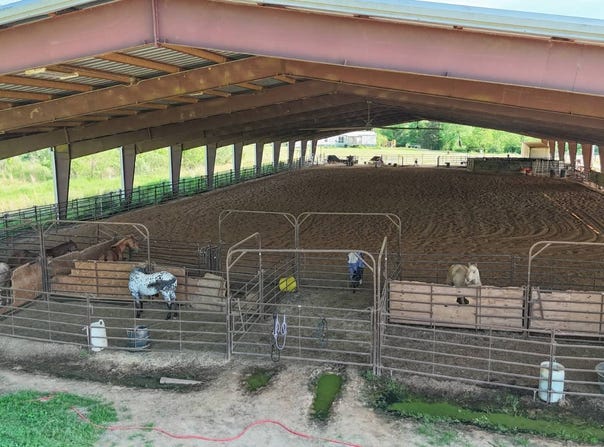546  Hwy. 145, Downsville, LA 71234