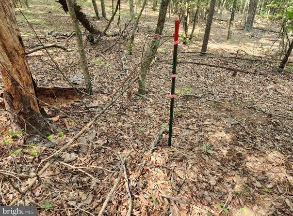 6.47 ACRES BURD LANE, AUGUSTA, WV 26704