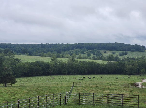 9551 C-Highway Ff, Mountain Grove, MO 65711