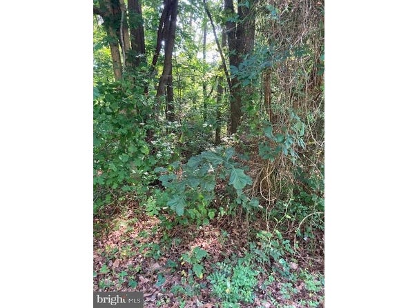 BAY POINTE DRIVE, MONTROSS, VA 22520