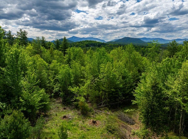Lot 2 Wildernesscapes Way, Jay, NY 12941