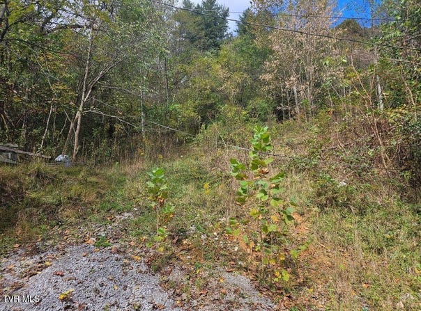 1727 Right Poor Valley Road, Pennington Gap, VA 24277