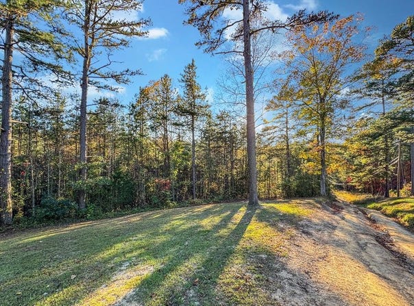 Lot 10 Dry Meadow Dr., Adams, KY 41201