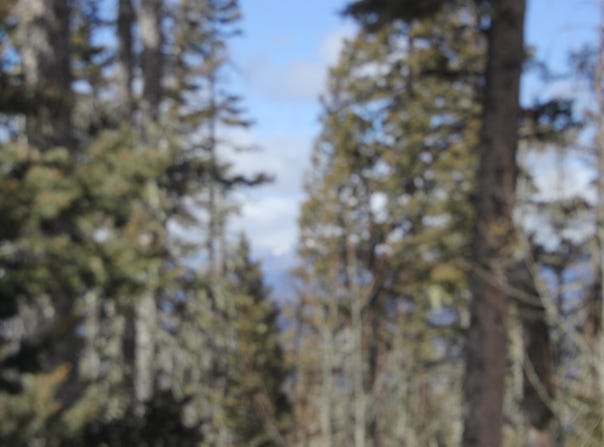 Lot 19 Happy Way, Angel Fire, NM 87718-0000