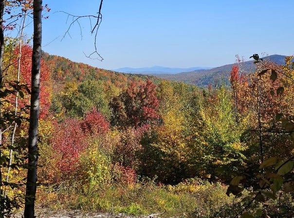 Moose Alley Road lot: 9 E, Temple, ME 04984