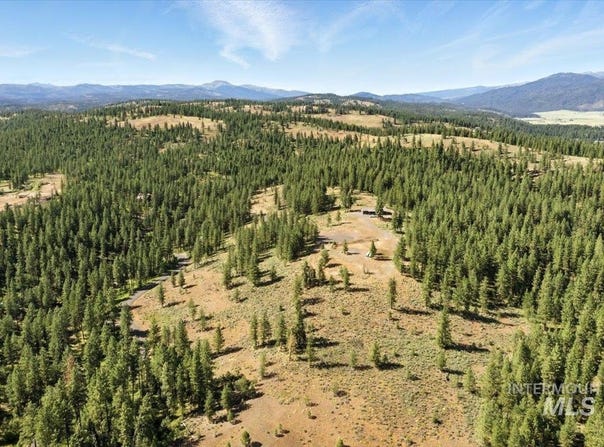 Lot 6 Block 1 Van Dorn Estates, New Meadows, ID 83654