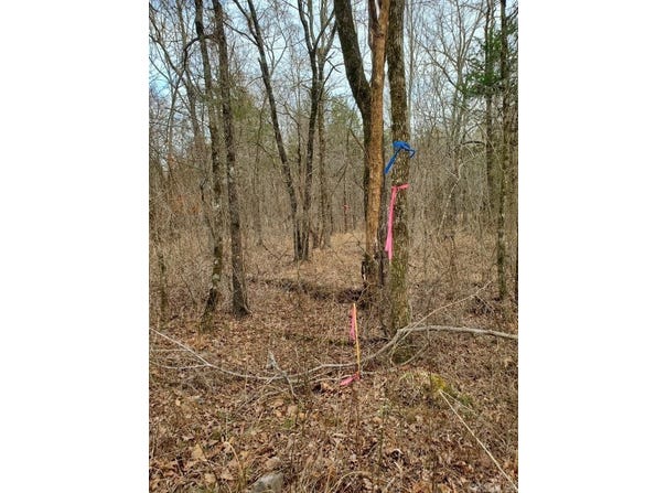 Polk Road 197, Mena, AR 71953