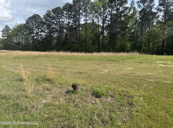 River Ridge Parkway, Pearl, MS 39208