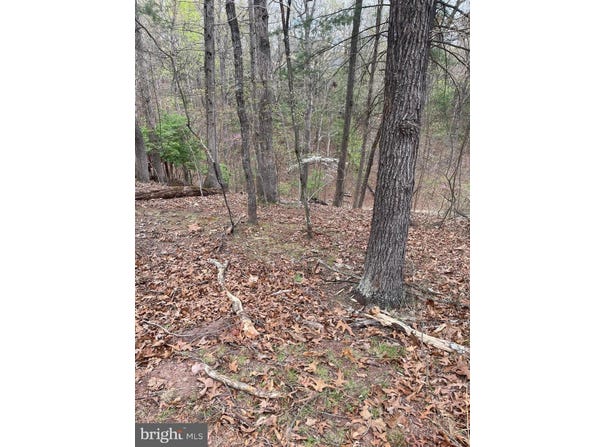 411 NORTHWOOD CIRCLE, CROSS JUNCTION, VA 22625